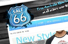 Salt 66